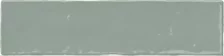 Moos Jade Brillo 6,5x26 cm